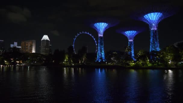 Iluminarea Nocturnă Copacilor Magici Grădina Faimoasă Din Orașul Singapore Panoramă — Videoclip de stoc