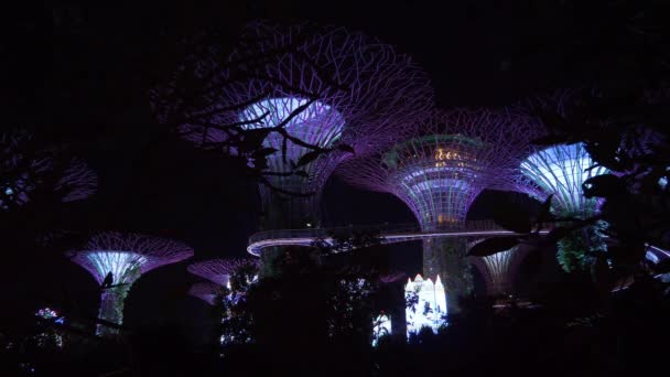 シンガポールの有名な庭園 パノラマ 4Kでの魔法の木の夜の照明 — ストック動画