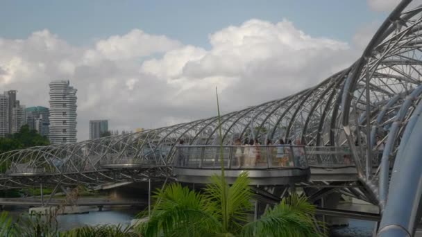 Pedestrian Bridge Famous Marina Bay Singapore City Downtown Panorama — Stock Video