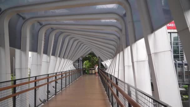 Famoso Puente Peatonal Ciudad Yakarta Indonesia Panorama — Vídeos de Stock