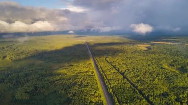 Orman ve tarlalı hava manzarası, Rusya, 4k, zaman ayarlı