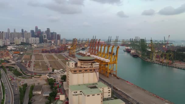 Panorama Aéreo Famosa Bahía Portuaria Isla Sentosa Ciudad Singapur — Vídeos de Stock