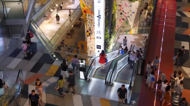 Внутрішня Частина Знаменитого Торгового Центру Сінгапурі Панорама — стокове відео