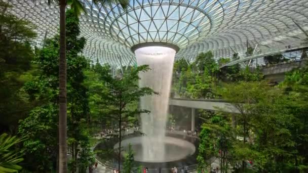 Giorno Luce Singapore Città Famoso Aeroporto Internazionale Moderno Mondo Più — Video Stock