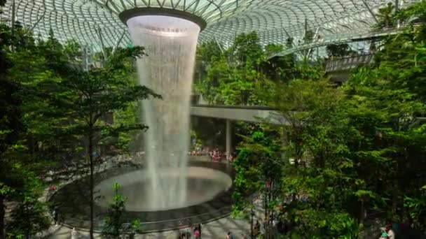 Luz Del Día Singapore Ciudad Famoso Aeropuerto Internacional Moderno Mundo — Vídeos de Stock