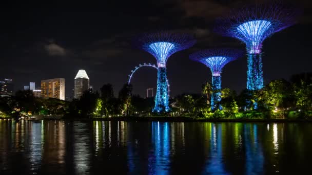 夜のライトアップ有名なシンガポールシティガーデンベイタイムラプスパノラマ4K — ストック動画