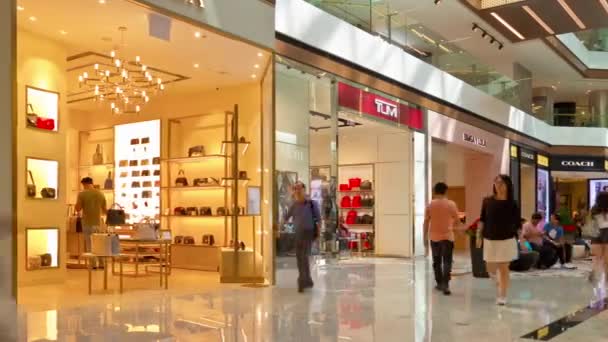 Singapore Centro Cidade Famoso Shopping Moderno Timelapse Panorama — Vídeo de Stock