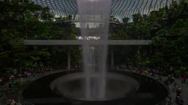 Giorno Luce Singapore Città Famoso Aeroporto Internazionale Moderno Mondo Più — Video Stock
