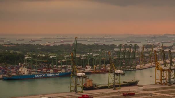 Sunset Sky Singapore City Famous Port Dock Rooftop Timelapse Panorama — Αρχείο Βίντεο
