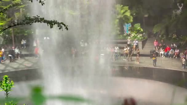 Soleado Día Singapore Ciudad Famoso Aeropuerto Internacional Moderno Fuente Lleno — Vídeos de Stock