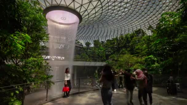 Soleado Día Singapore Ciudad Famoso Aeropuerto Internacional Moderno Fuente Abarrotada — Vídeos de Stock