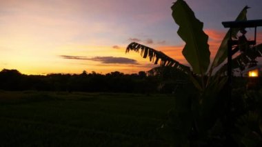 sunset sky bali island changgu district rice terrace field panorama 4k indonesia