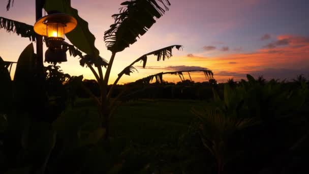 Sunset Sky Bali Island Changgu District Rice Field House Terrace — Αρχείο Βίντεο