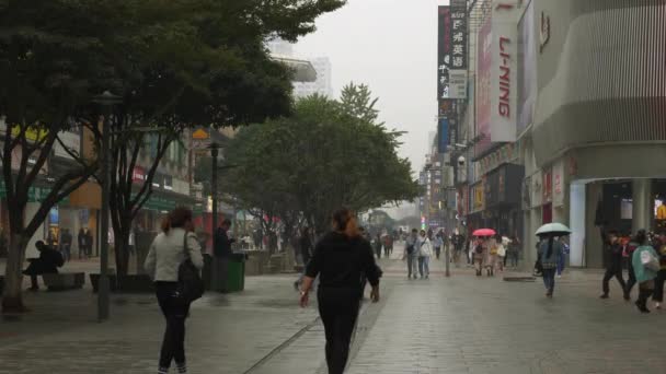 Día Lluvioso Changsha Ciudad Famoso Peatonal Turista Concurrida Calle Cámara — Vídeo de stock