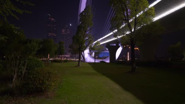 Nachtbeleuchtung Der Stadt Nanjing China Panorama — Stockvideo