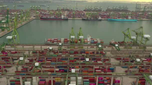 Flygfoto Panorama Över Berömda Hamnen Singapore Stad — Stockvideo