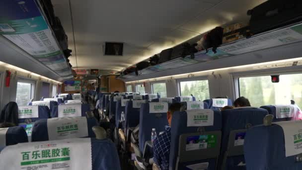 Interior Del Vagón Durante Viaje Por Carretera Del Tren Ciudad — Vídeo de stock