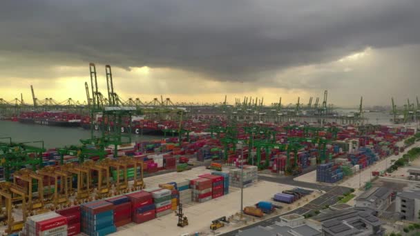 Panorama Aéreo Famosa Bahía Portuaria Ciudad Singapur — Vídeo de stock