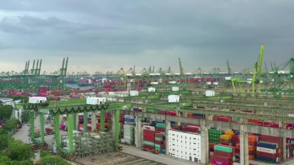 Panorama Aéreo Famosa Bahía Portuaria Ciudad Singapur — Vídeo de stock