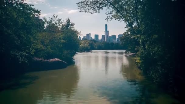 Summer Lake Central Park Time Lapse New York Verenigde Staten — Stockvideo