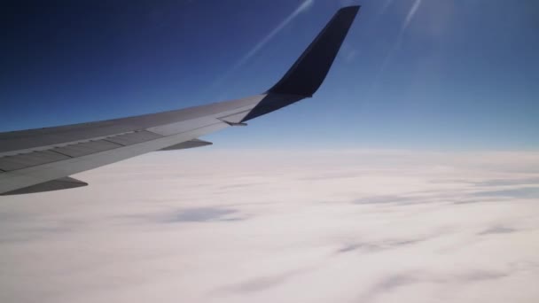 白天在云端上飞行 — 图库视频影像