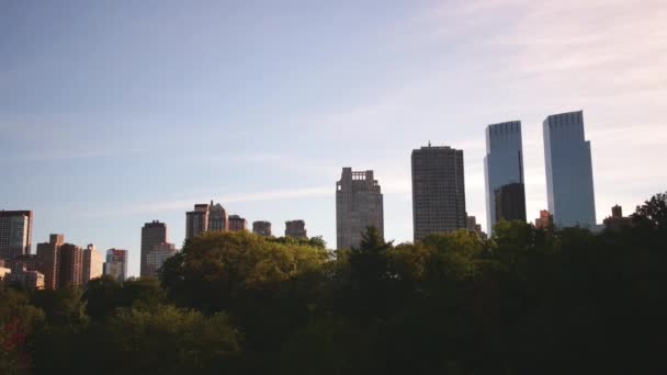 New York Circa 2014 Zomer Central Park New York Time — Stockvideo