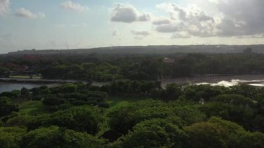 Endonezya 'da bulutlu gökyüzü olan yeşil bitkiler ve ağaçlar