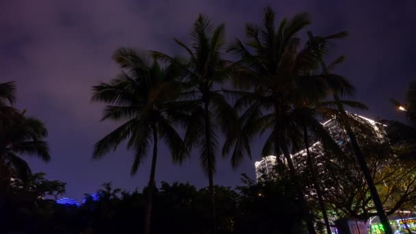 夜间三亚岛屿公园全景4K 时代拉塞海南岛中国 — 图库视频影像