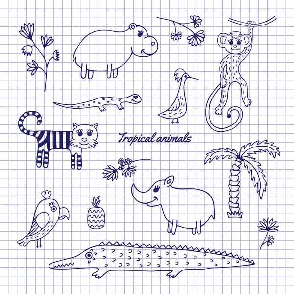 Animali tropicali disegnati a mano — Vettoriale Stock