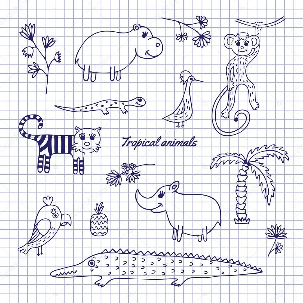 Hand-draw tropical animals