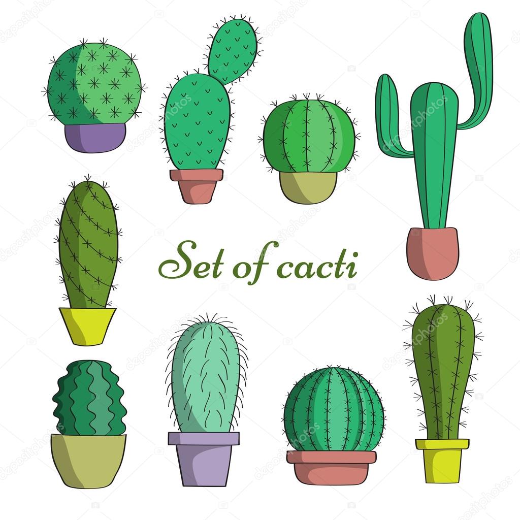 The set of cacti in pots.
