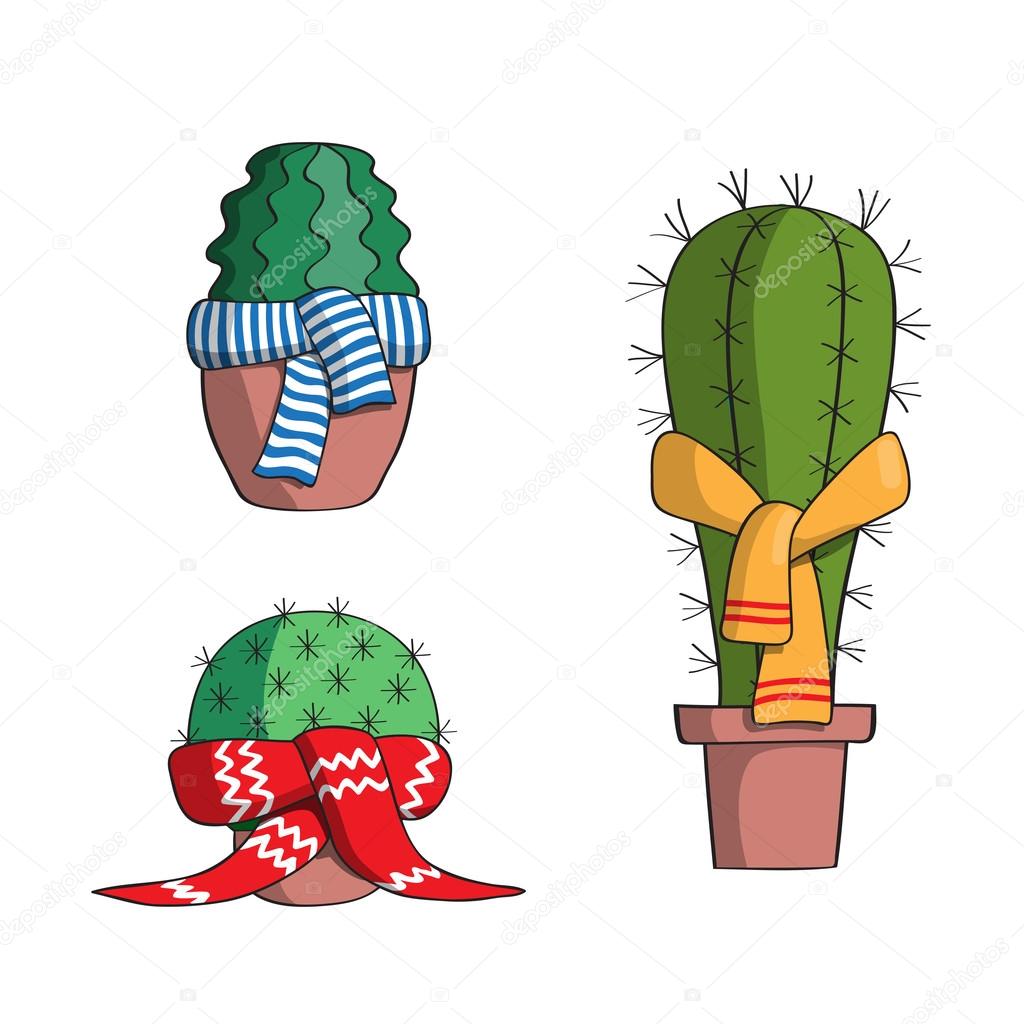 Set the cactus in the scarves.