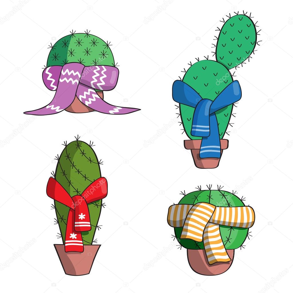 Set the cactus in the scarves.
