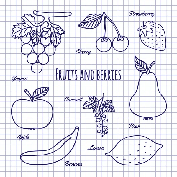 Mano dibujar frutas y bayas — Vector de stock
