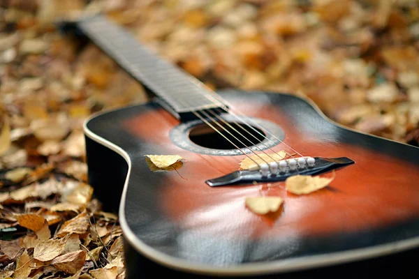 Gitara akustyczna w parku jesień — Zdjęcie stockowe