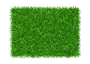 Yeşil çim arka plan dikdörtgeni