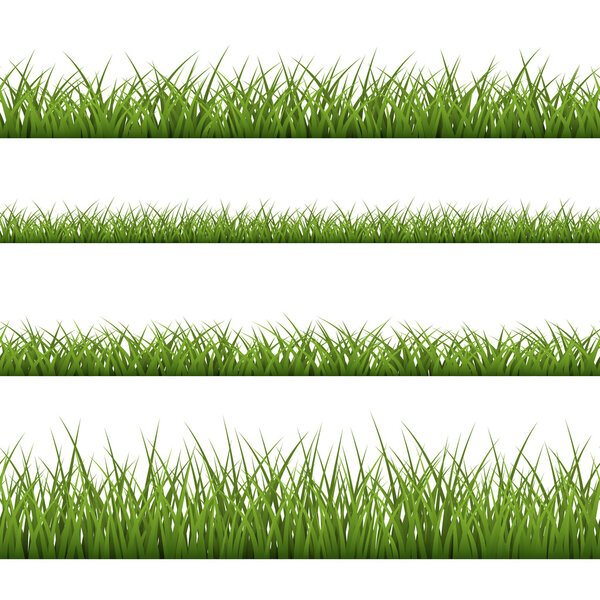 Green grass seamless pattern line