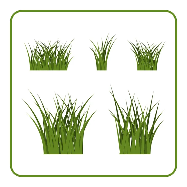 Grünes Gras Büsche isoliert Set — Stockvektor