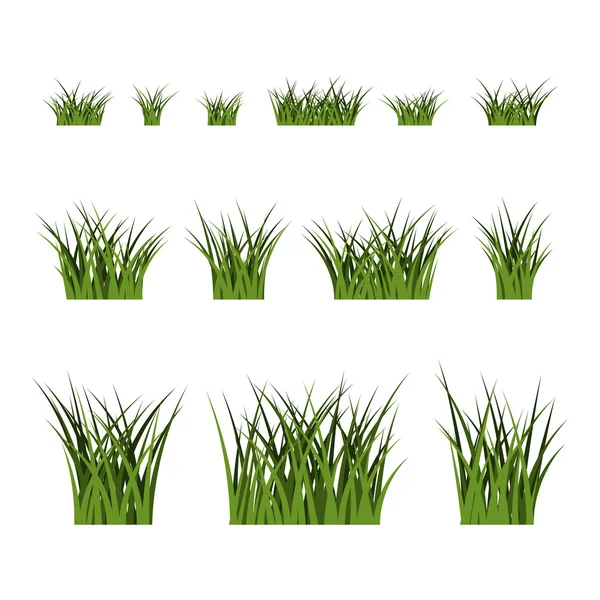Grünes Gras Büsche setzen Pflanze isoliert — Stockvektor