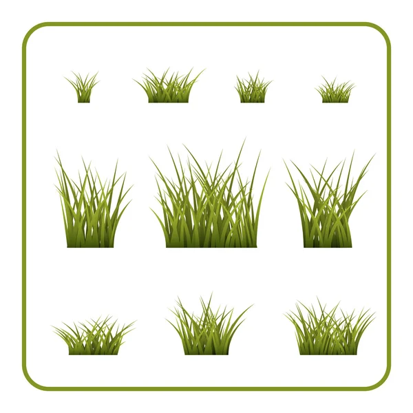 Grünes Gras Büsche gesetzt isoliert — Stockvektor