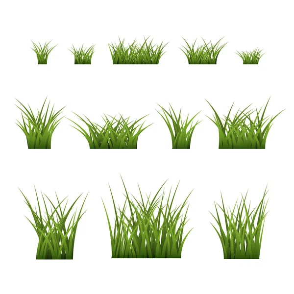 Grüne Grasbüsche setzen Pflanze — Stockvektor