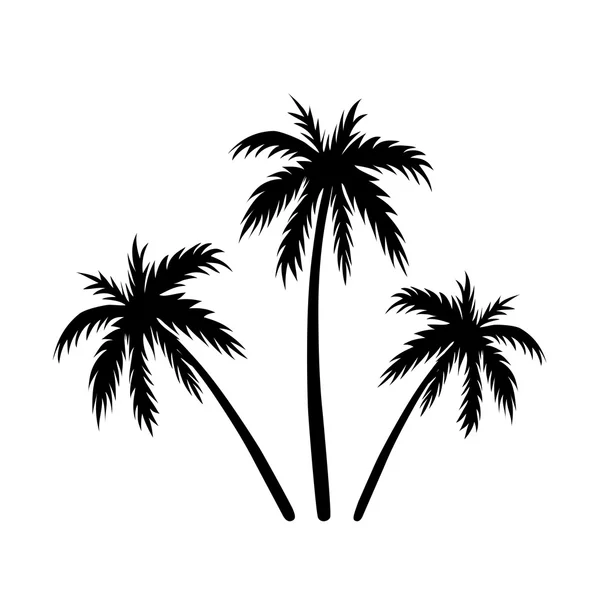 Three palms sketch — Stock Vector