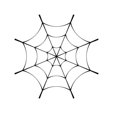 Örümcek web küçük örümcek ağı