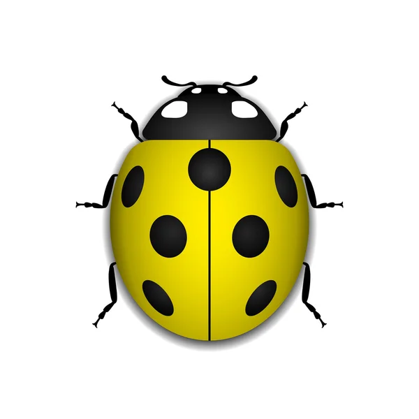 Lieveheersbeestje gele realistische cartoon icoon — Stockvector