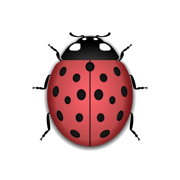 Ladybug red cartoon icon realistic — Stock Vector