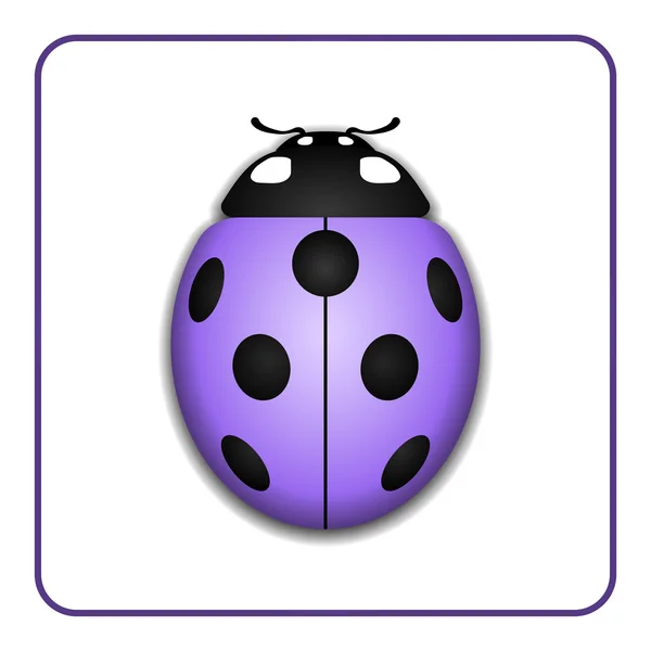 Cartoon Color Lady Bug Icon Set Stock Vector (Royalty Free) 1450594511