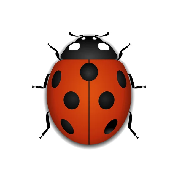 Coccinella icona cartone animato rosso realistico — Vettoriale Stock