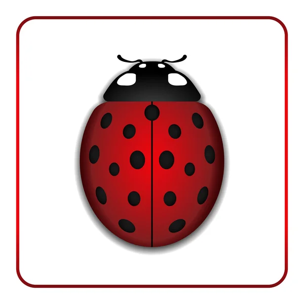 Ladybug red cartoon icon realistic — Stock Vector