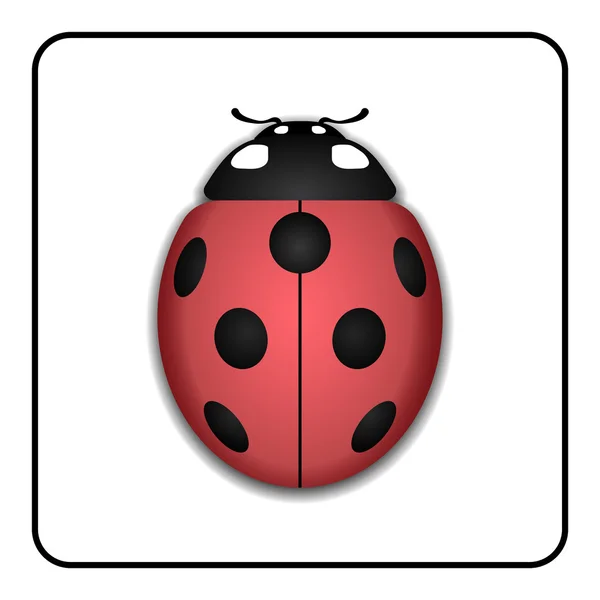 Cartoon Color Lady Bug Icon Set Stock Vector (Royalty Free) 1450594511