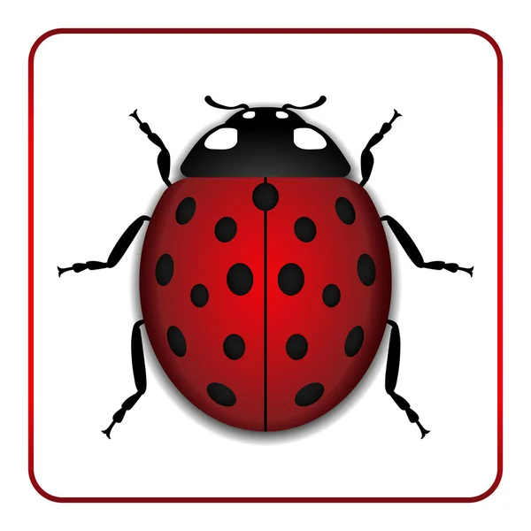 Coccinelle icône dessin animé rouge réaliste — Image vectorielle